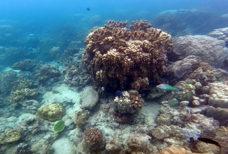 Koh Phangan, Thaïlande