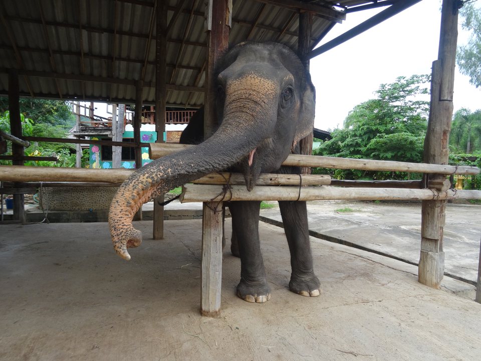 Mae Sot - Chiang Mai - Pai, Thaïlande