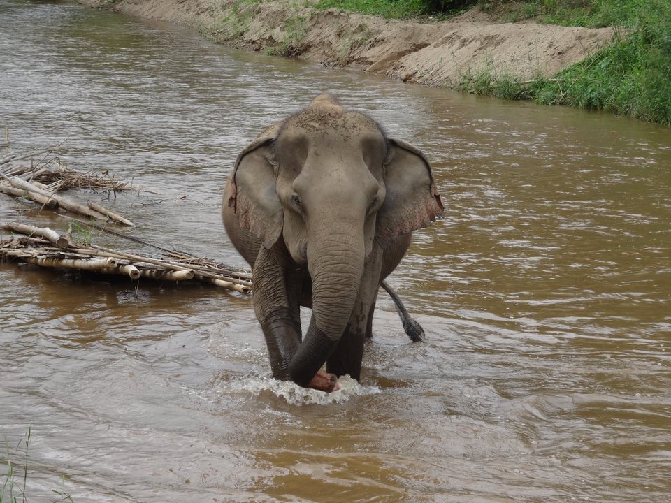 Mae Sot - Chiang Mai - Pai, Thaïlande