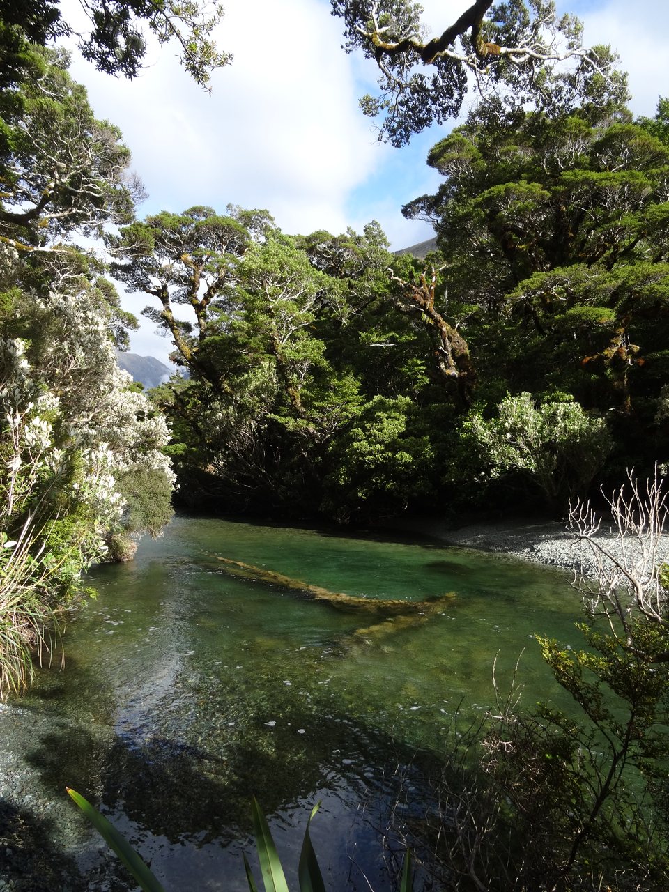 Fiordland, Nouvelle-Zélande