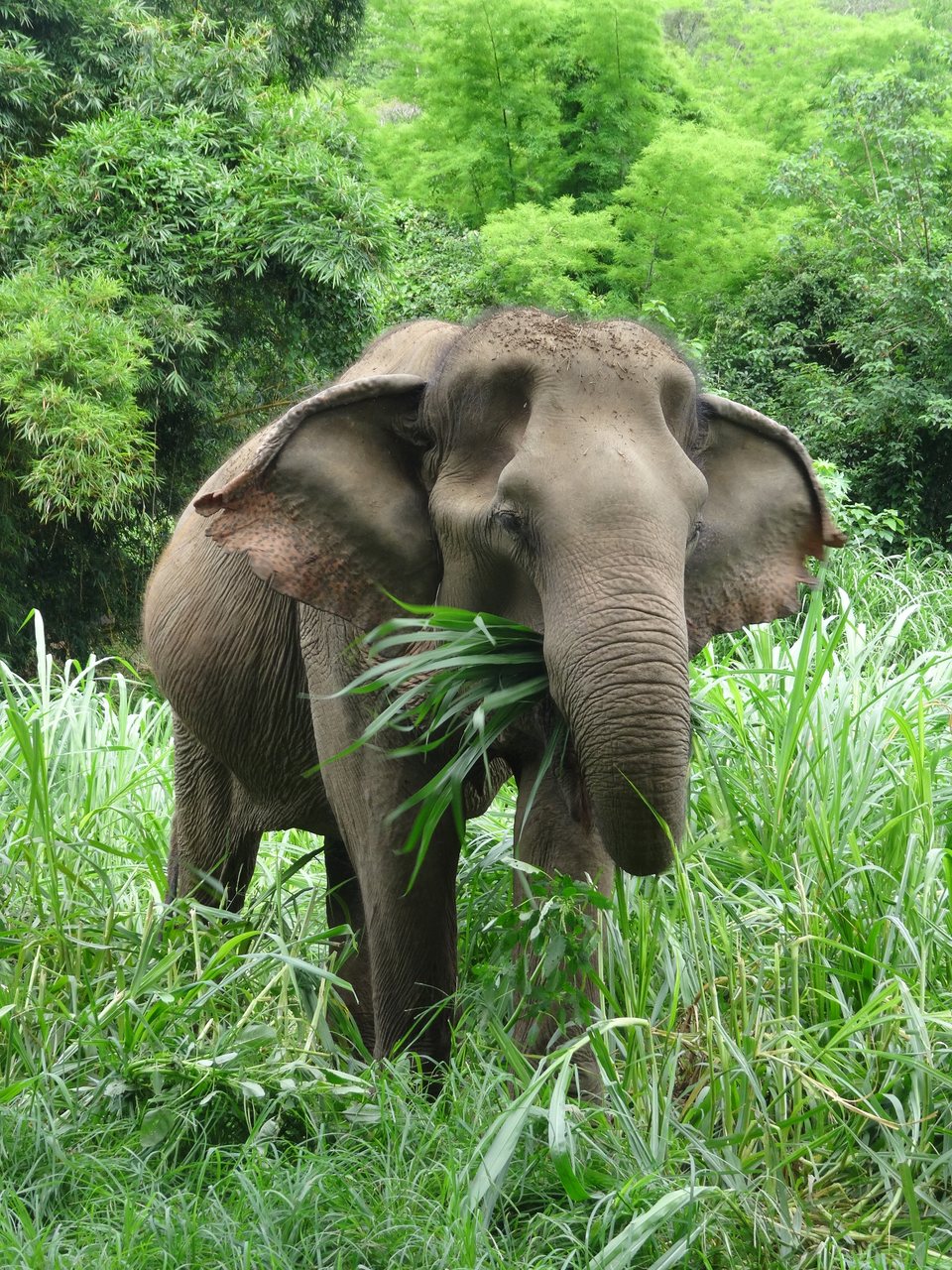 Mae Sot - Chiang Mai - Pai, Thaïlande