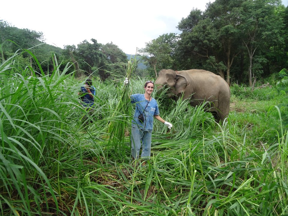 Mae Sot - Chiang Mai - Pai, Thaïlande