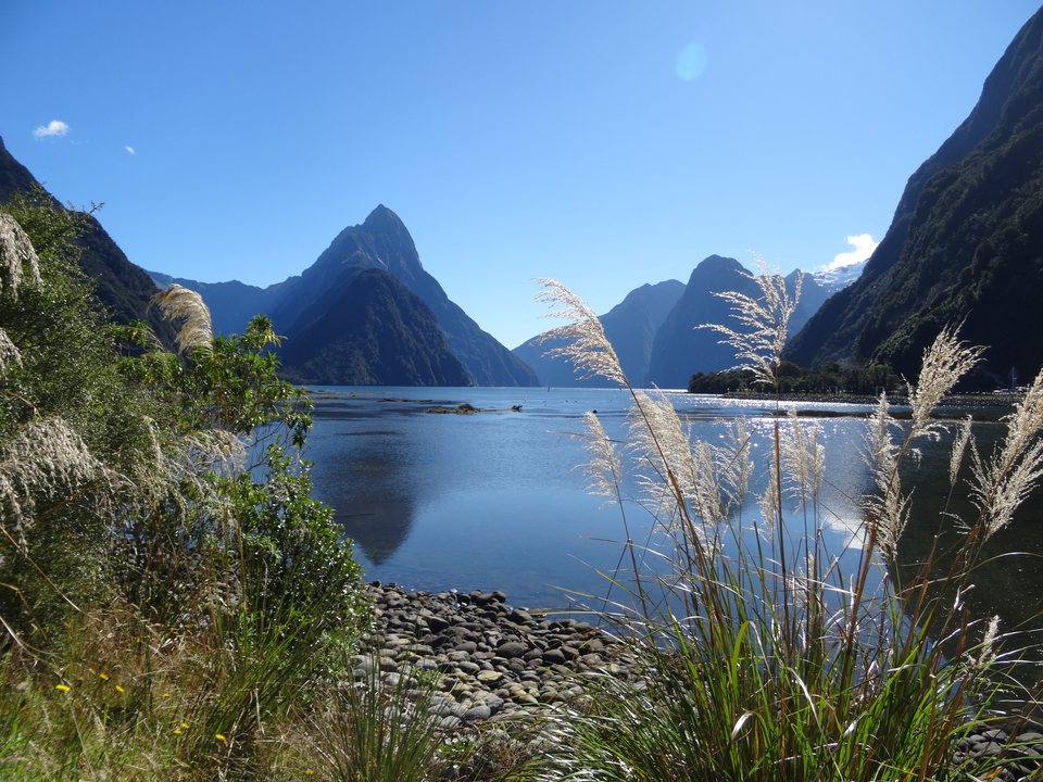 Fiordland, Nouvelle-Zélande