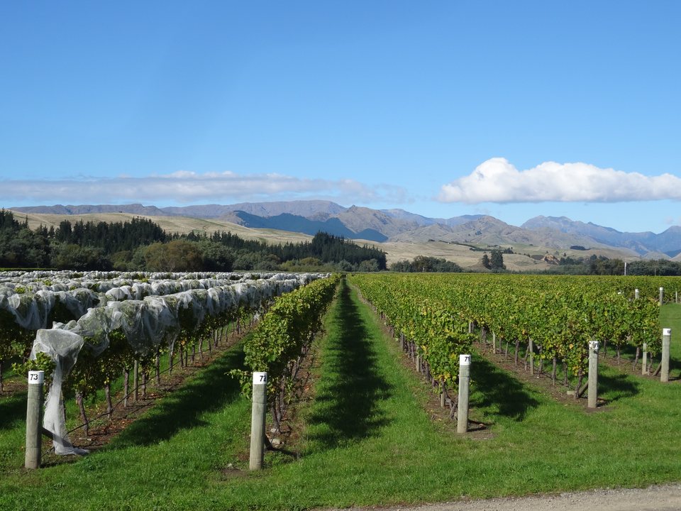 Marlborough, Nouvelle-Zélande
