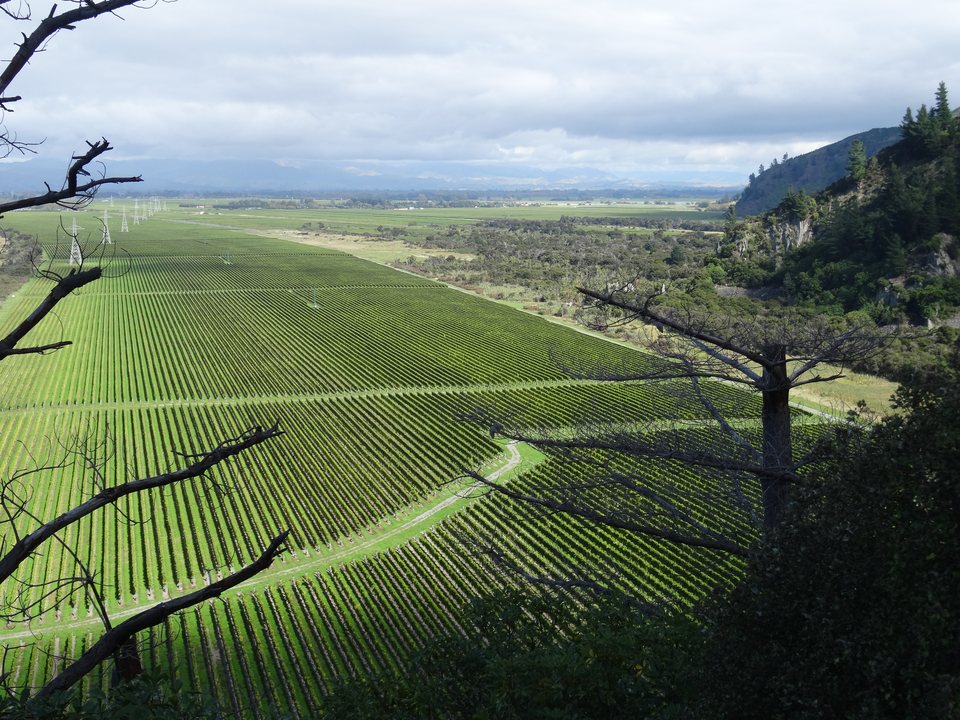 Marlborough, Nouvelle-Zélande