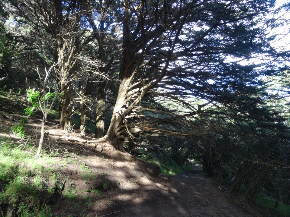 Wellington, Nouvelle-Zélande