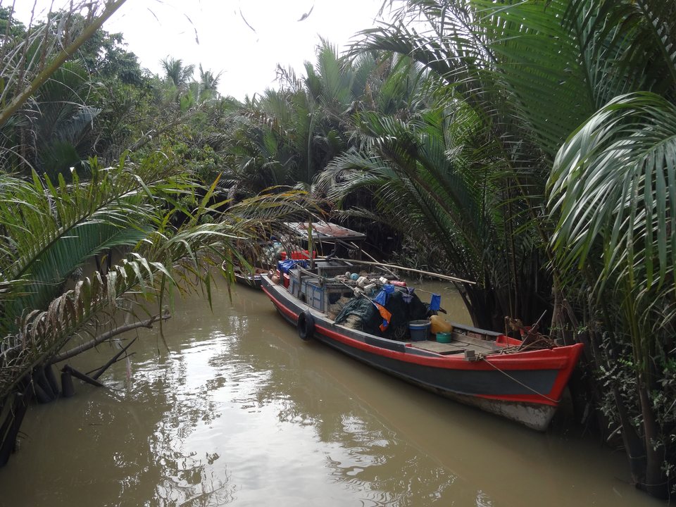 Le delta du Mékong, Vietnam