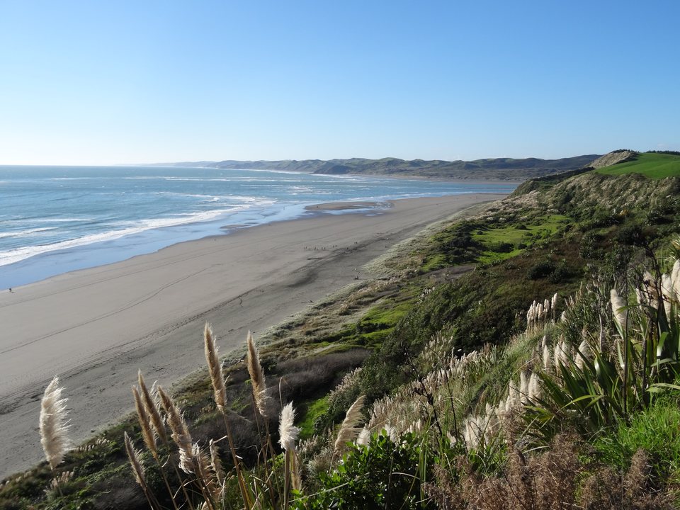 Raglan - Tauranga, Nouvelle-Zélande