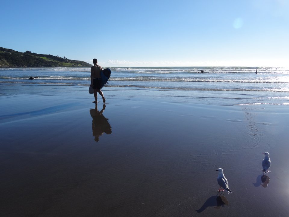 Raglan - Tauranga, Nouvelle-Zélande