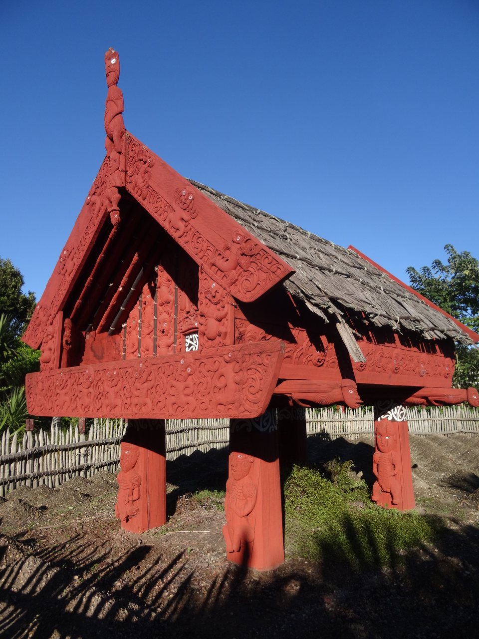 Raglan - Tauranga, Nouvelle-Zélande