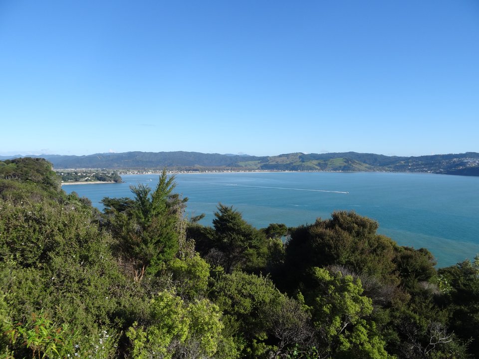 Coromandel, Nouvelle-Zélande