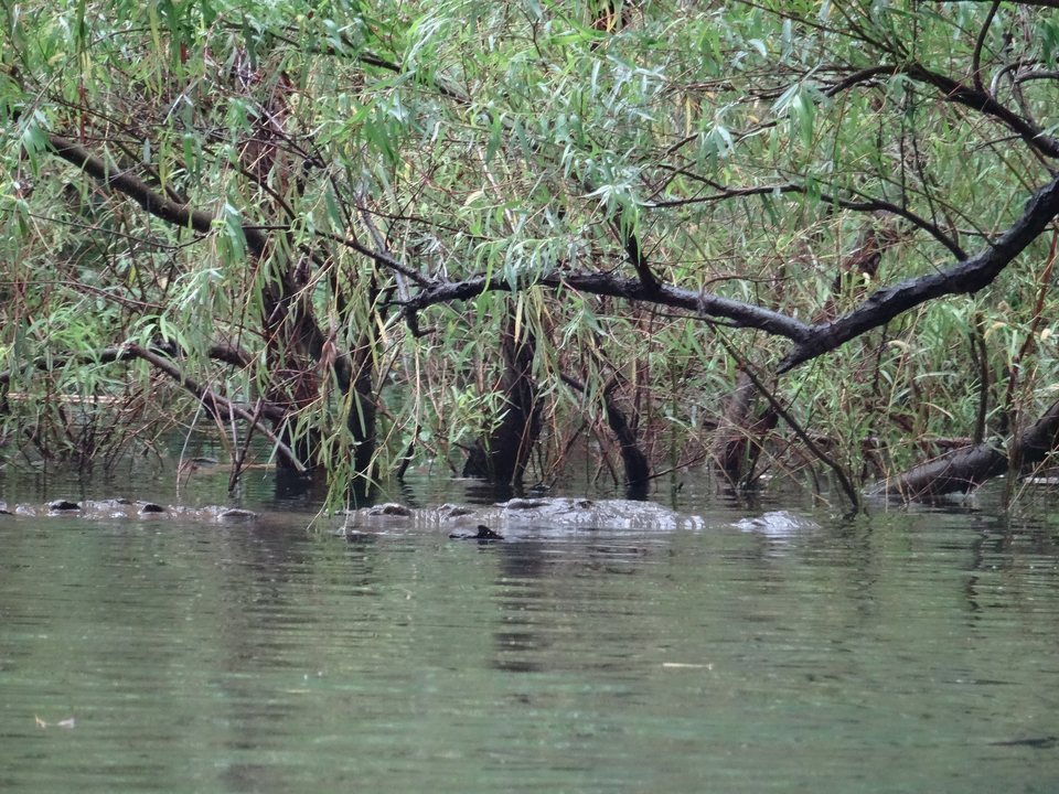 Chiapas, Mexique