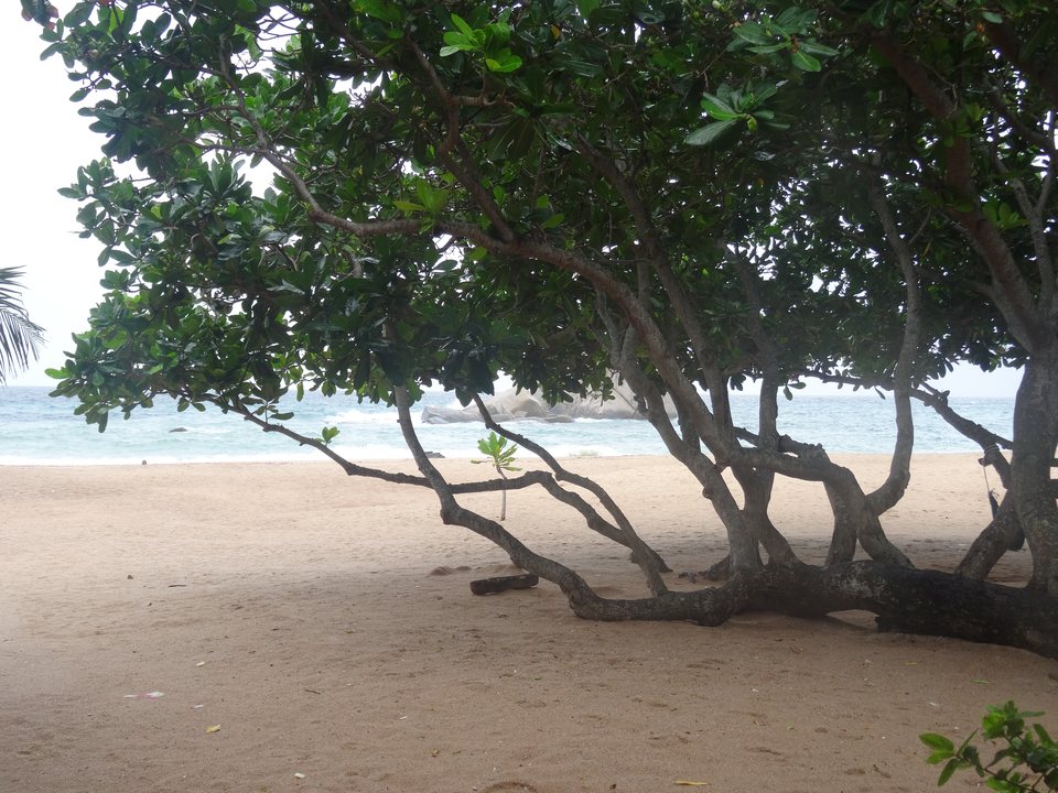 Koh Tao, Thaïlande