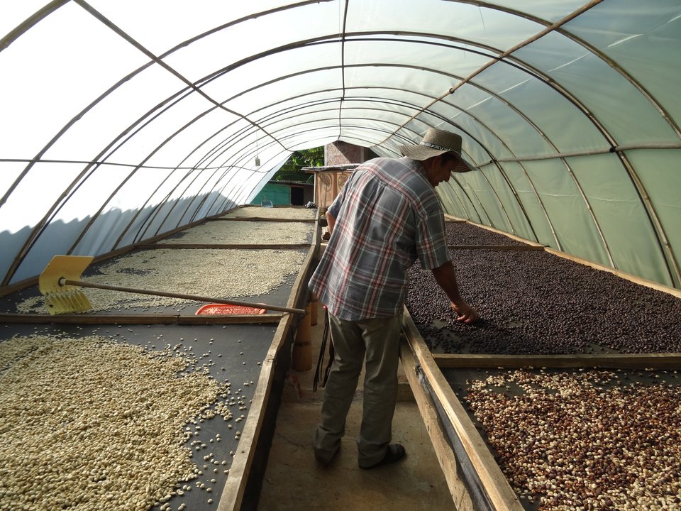 Zona Cafetera, Colombie