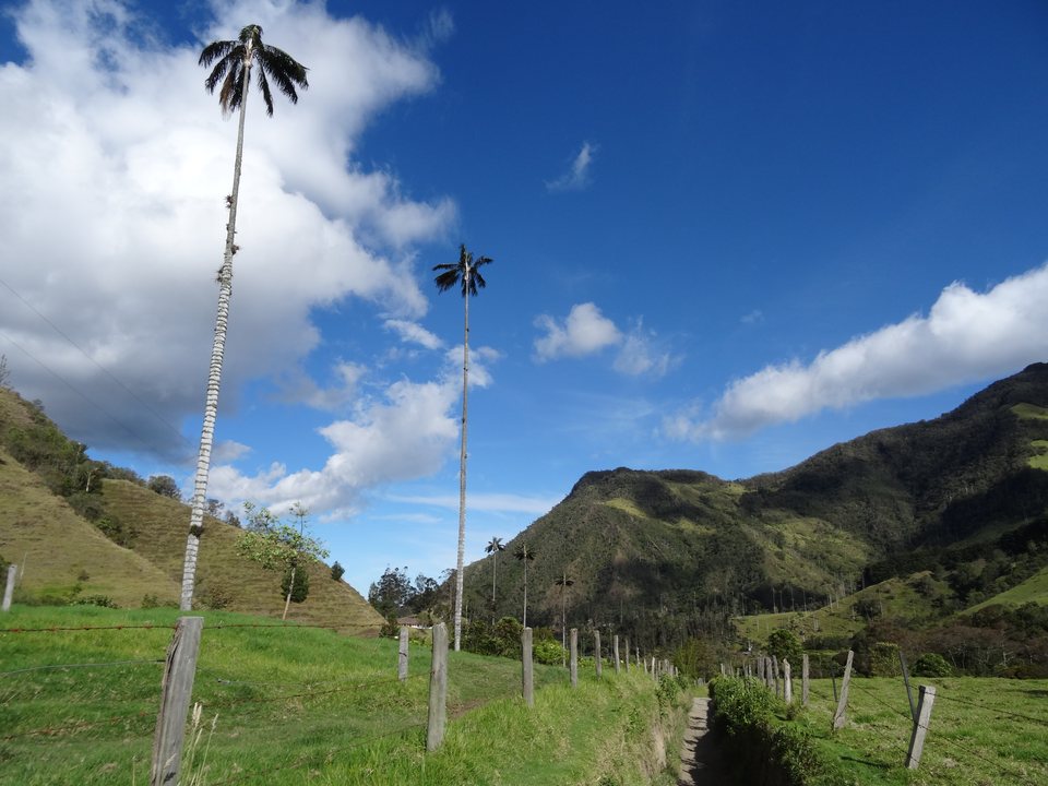 Zona Cafetera, Colombie