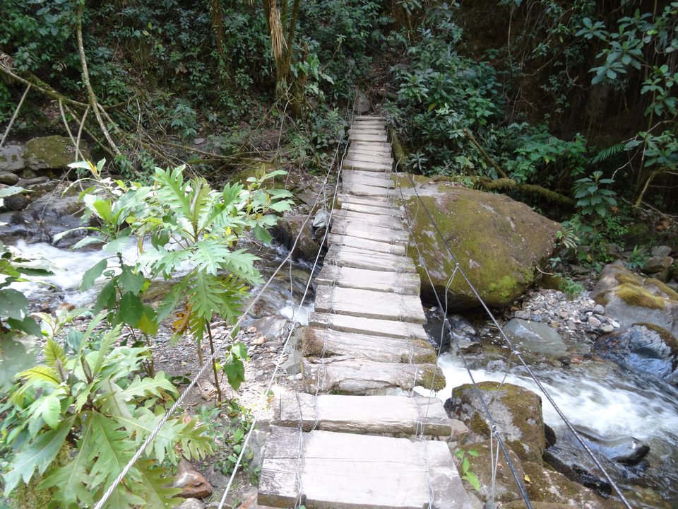 Zona Cafetera, Colombie