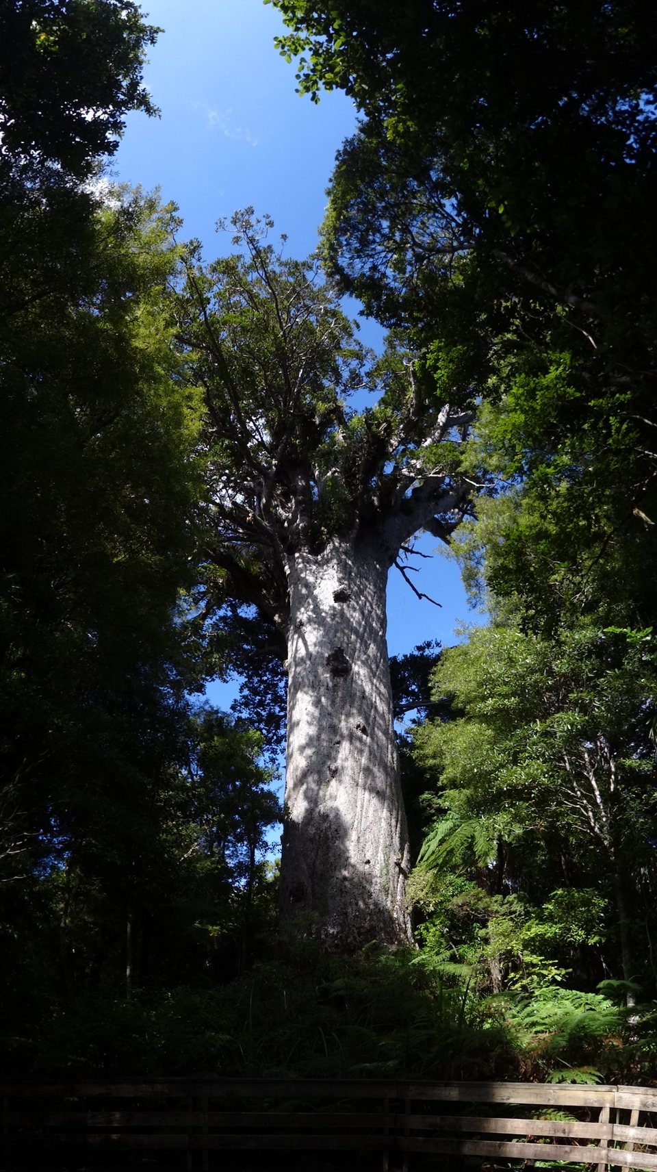 Northland, Nouvelle-Zélande