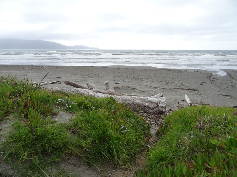 Whanganui - Wellington, Nouvelle-Zélande