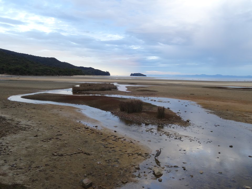 Abel Tasman National Park, Nouvelle-Zélande