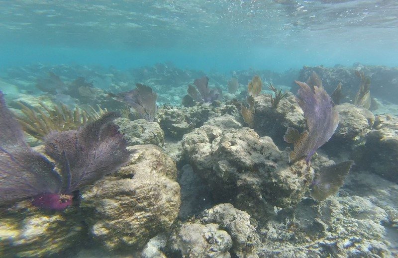 Chetumal - Mahahual, Mexique