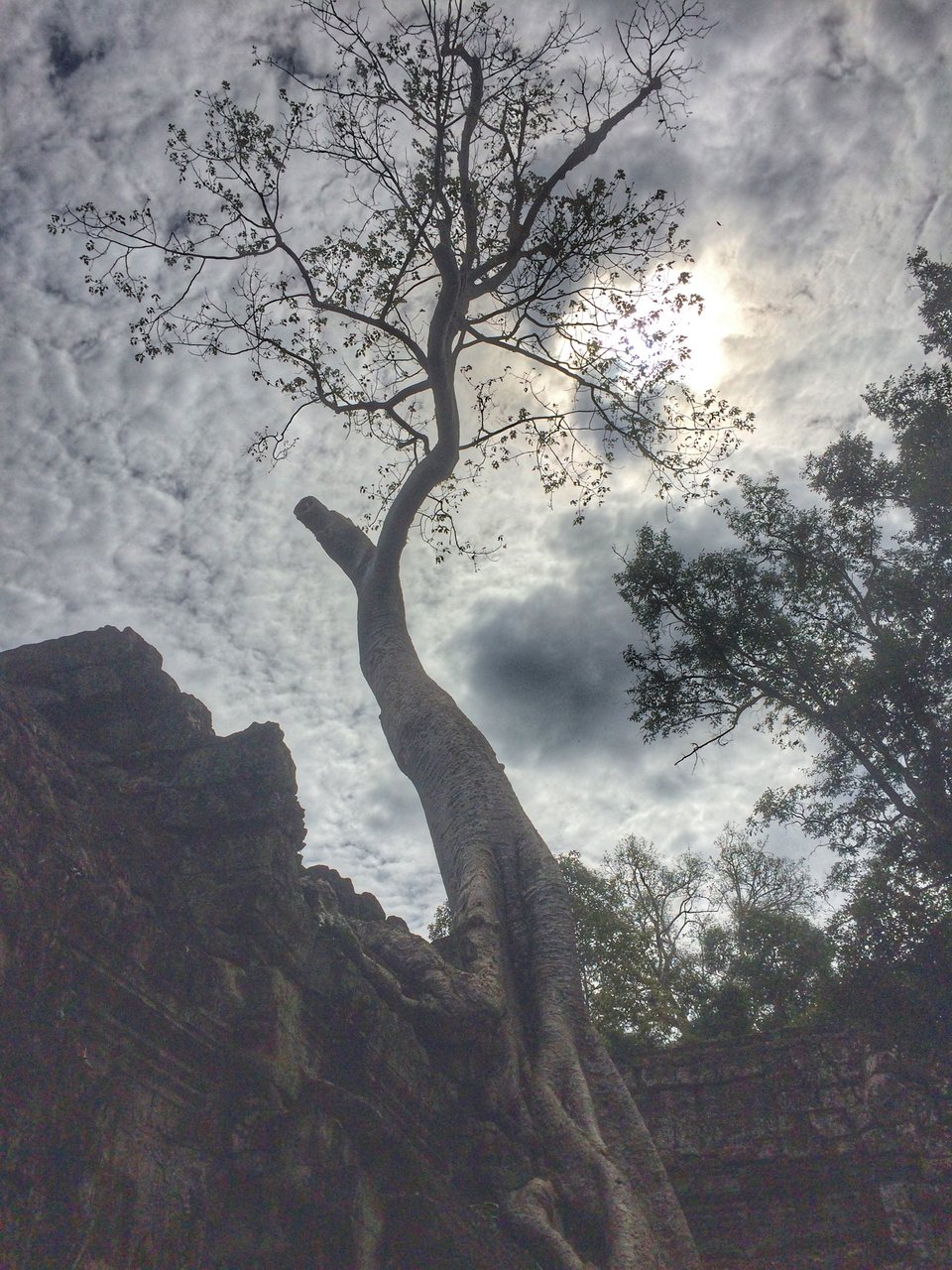 Siem Reap - Les temples d'Angkor, Cambodge