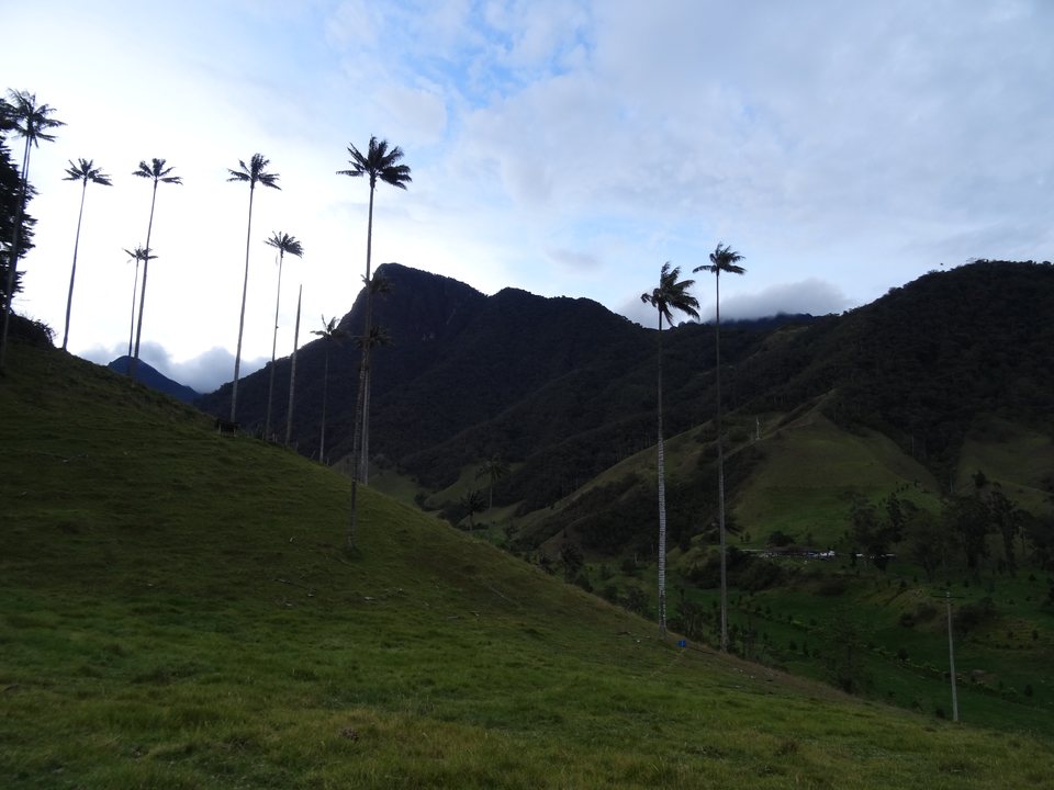 Colombie — Deux mois pour traverser un pays qu'on nous avait dit dangereux, et qui fut lumineux.