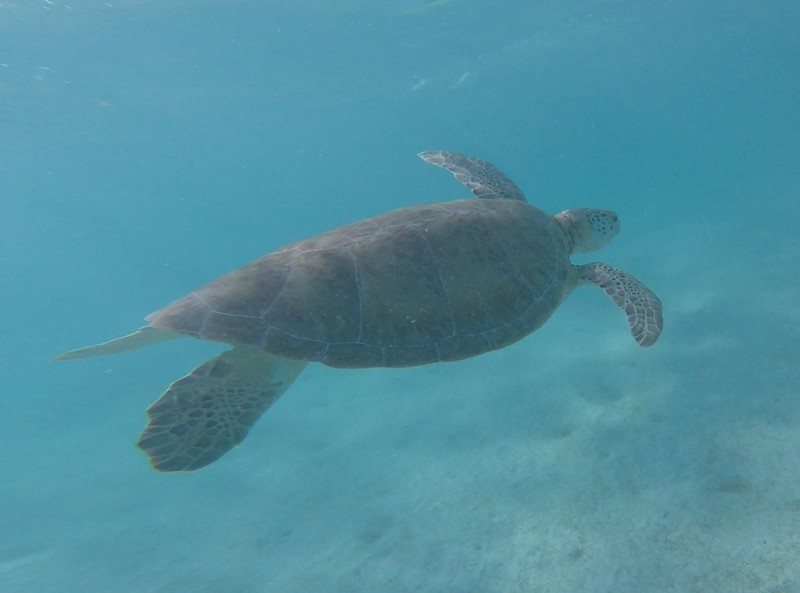 Cancún - Playa del Carmen, Mexique